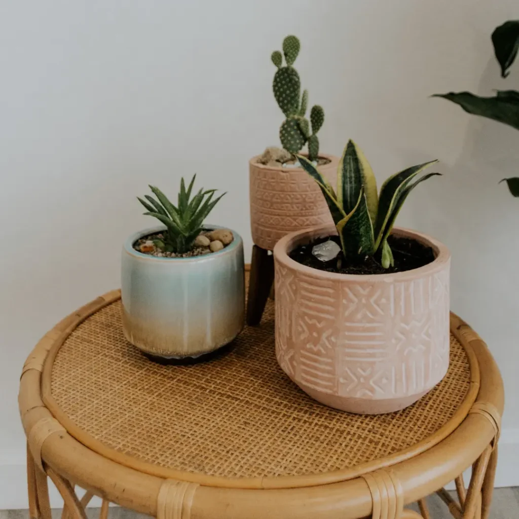 rattan table
