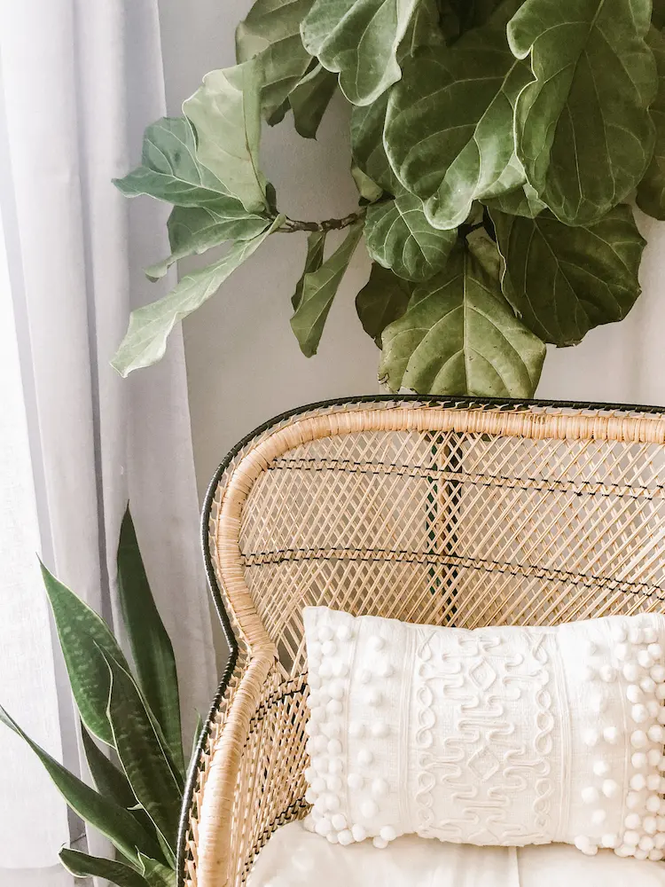 Rattan 101: A Simple Guide to Caring for Rattan Home Furnishings 6 stephanie harvey aK53f8eAzck unsplash W